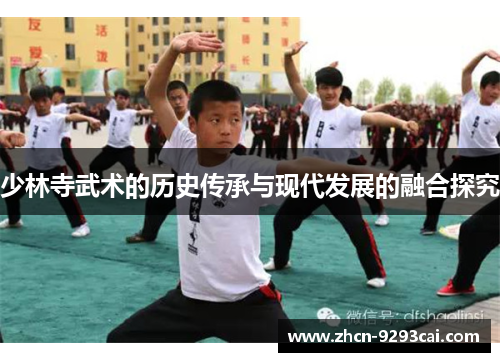 少林寺武术的历史传承与现代发展的融合探究