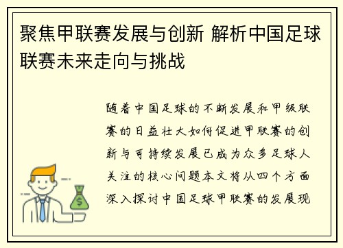 聚焦甲联赛发展与创新 解析中国足球联赛未来走向与挑战